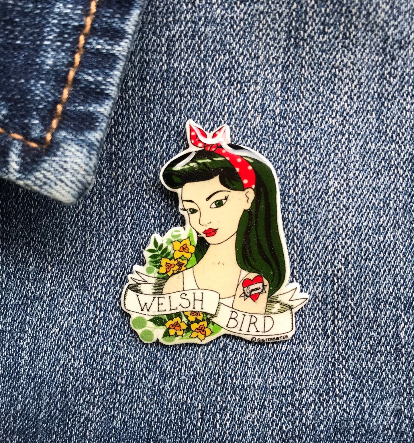 Welsh Bird Handmade Pin, Badge